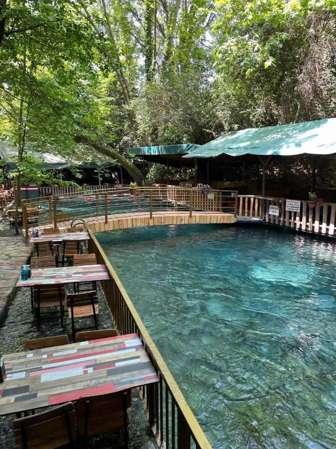 Yuvarlakcay Cinar Butik Otel Koycegiz エクステリア 写真