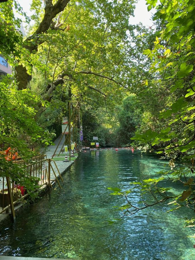 Yuvarlakcay Cinar Butik Otel Koycegiz エクステリア 写真